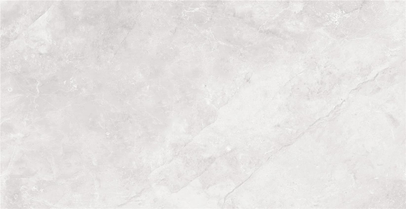 Porcelain Tile